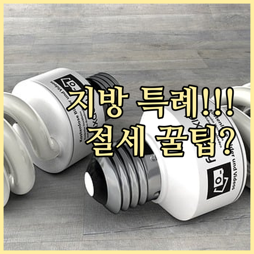 2025년 양도소득세 개정안 지방 주택 특례와 절세 전략