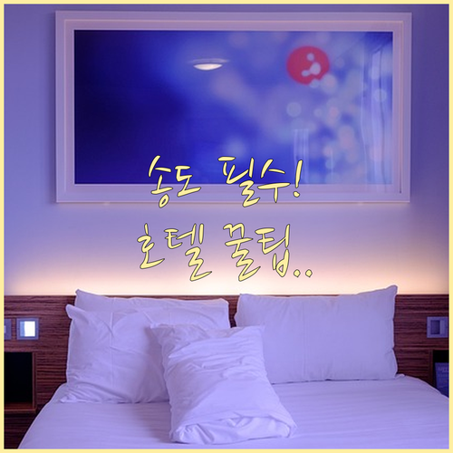 여행 목적별 송도 숙소 추천 프리미엄 호텔 할인 팁과 명소 전략