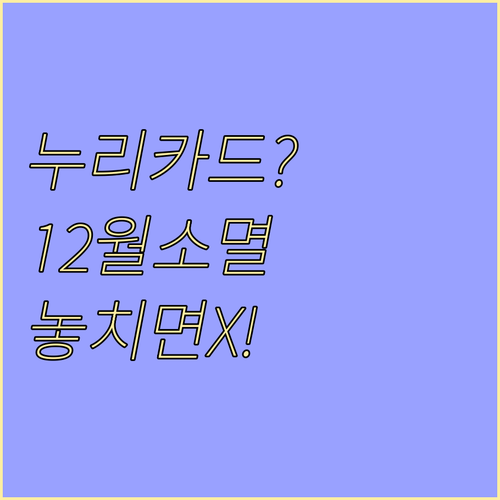 문화누리카드 국가지원금 이월 불가, 연말 사용 마감 및 소진 전략