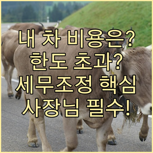 사업자 업무용 승용차 비용 인정 한도와 세무 조정 핵심