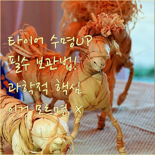 타이어 수명 연장 위한 전문 보관의 과학적 환경 기준