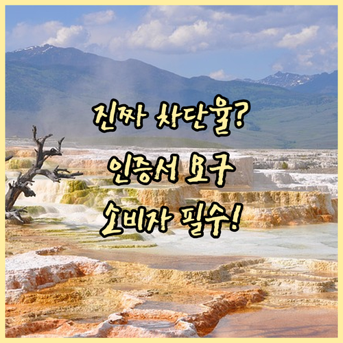 소비자가 알아야 할 단열 필름의 진짜 차단율 인증서 요청 권리