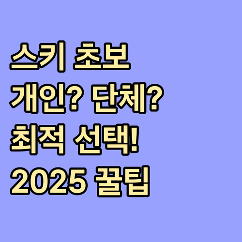 개인 단체 강습 비교 2025 스키 초보자 맞춤형 선택 노하우