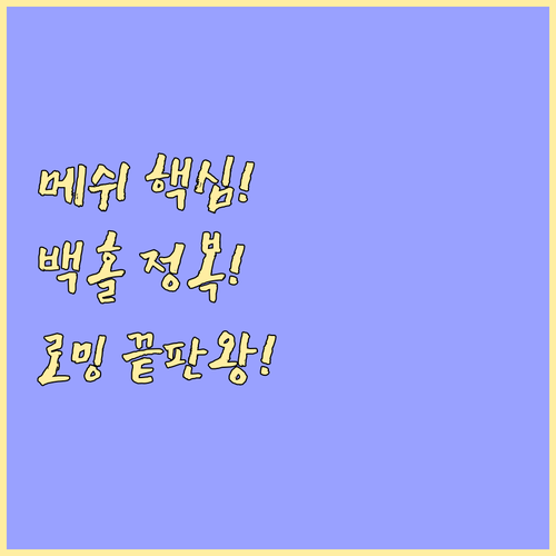 메쉬 네트워크의 진짜 가치: 백홀 방식과 자동 로밍 기술 심화 분석