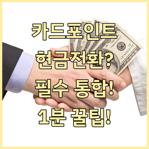 모든 신용카드사 포인트 통합 조회 및 현금 전환 신청 방법
