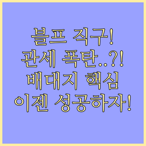 블프 직구 세금 속도 안정성 배대지 선택 완벽 전략