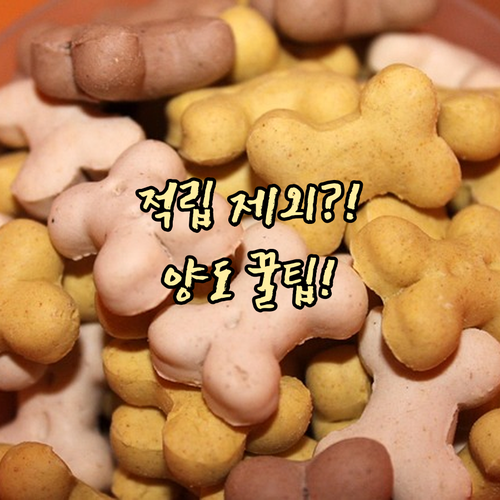 스타벅스 e-프리퀀시 스티커 적립 제외 조건과 양도 방법