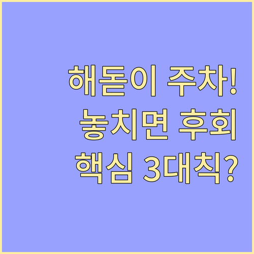 2026년 해돋이 현장 주차 금지 3대 핵심 수칙 및 안전 전략