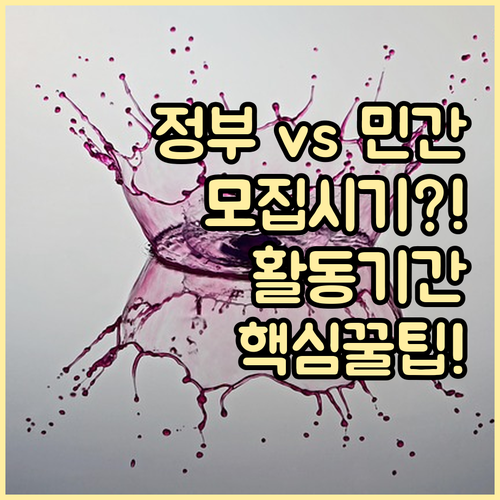 정부/민간 국제봉사단 유형별 모집 패턴과 활동 기간 상세 비교