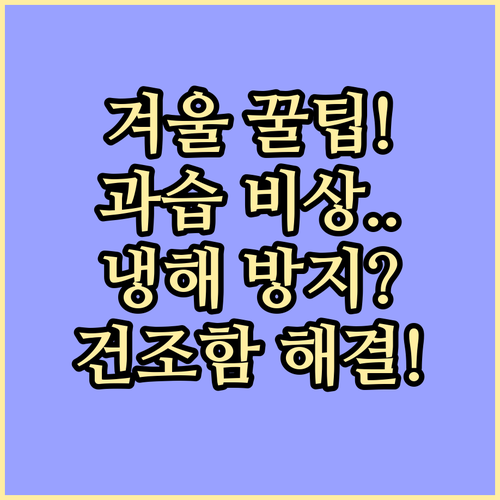 실내 식물 겨울나기 과습 냉해 건조함 방지 관리법