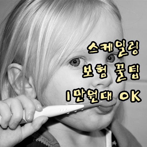 예방 목적 스케일링 보험 처리: 본인 부담금 1만 원대 적용 방법