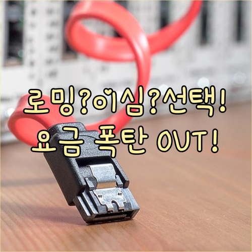 해외여행 로밍 유심 이심 완벽 비교 요금 절약 최적의 선택 기준