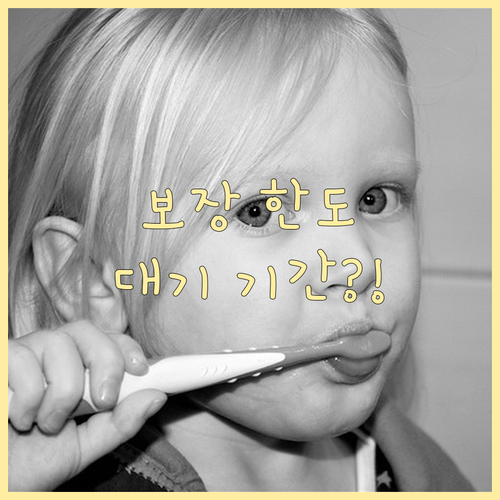 임플란트 치아보험 보장 한도와 대기 기간 완벽 이해