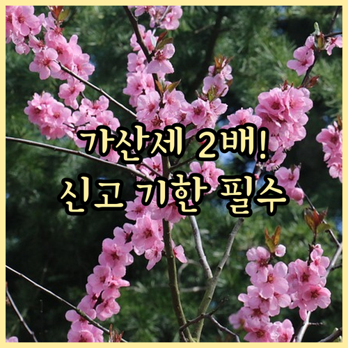 전자세금계산서 가산세 2배 폭탄 확정신고 기한 놓치면 안 되는 이유