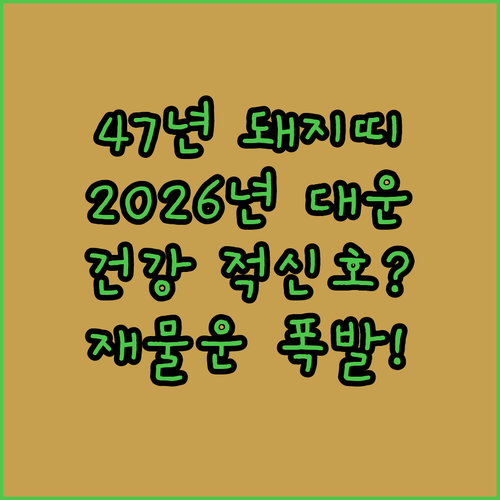 1947년생 돼지띠를 위한 2026년 건강 지표와 재물운 흐름 분석