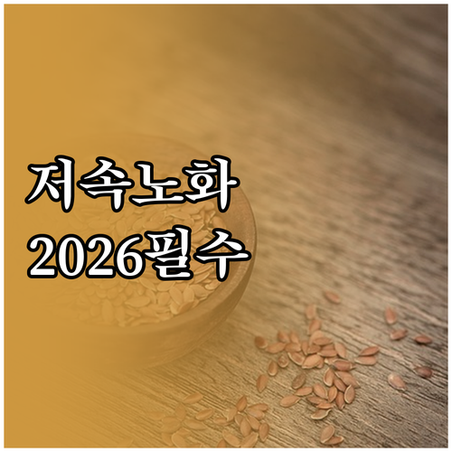 저속 노화 식단 관리법과 2026년 새해 건강 습관 실천 방법