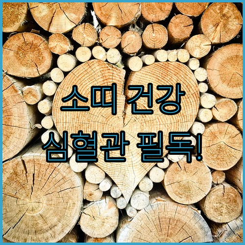 병오년 소띠 건강 수칙과 심혈관 질환 예방 관리법