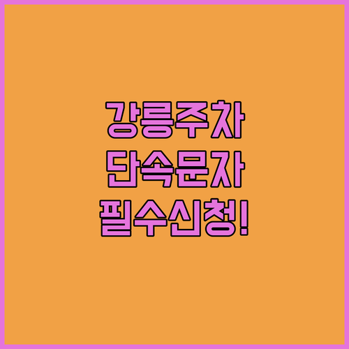 강릉시 주차 단속 전 문자 받는 법과 서비스 신청 경로 확인