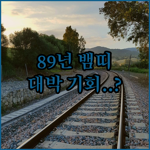 1989년생 뱀띠 2026년 운세 전망 이직 창업 재물운 핵심 요약