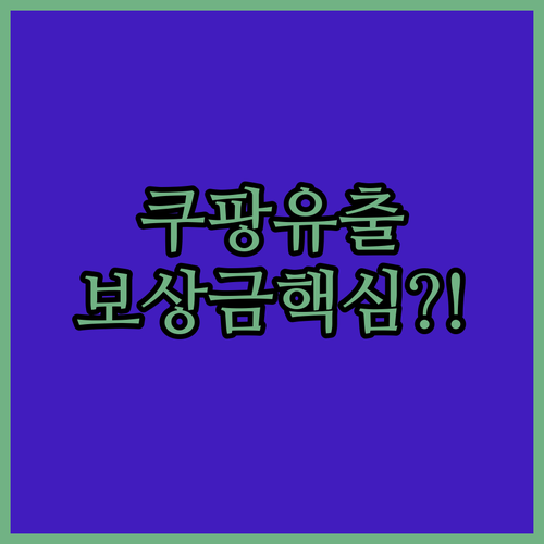 쿠팡 개인정보 유출 보상금액과 피해 구제 소송 참여 절차