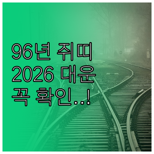 2026년 병오년 1996년생 쥐띠 운세 흐름과 분야별 대응 전략