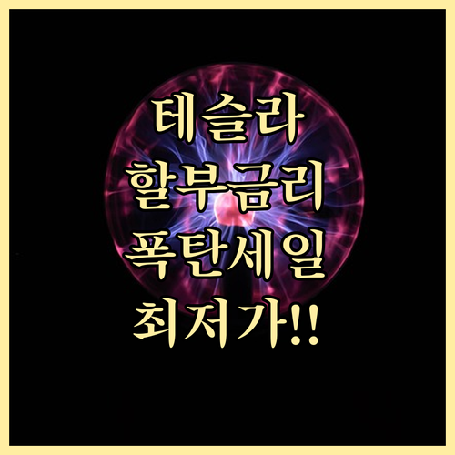 카드사별 테슬라 할부 금리 현황과 실질 구매가 낮추는 방법