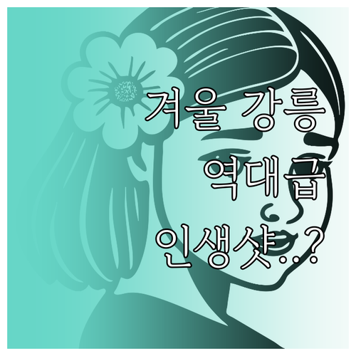 겨울 강릉 여행 명소 추천 | 실내 미디어아트와 예술 공간 포함