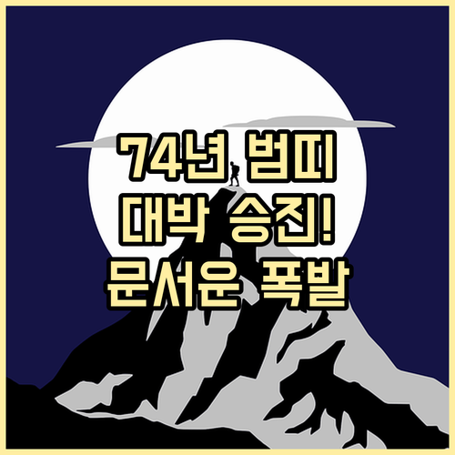 2026년 병오년 1974년생 범띠 운세 | 직업 승진과 부동산 문서운 정리