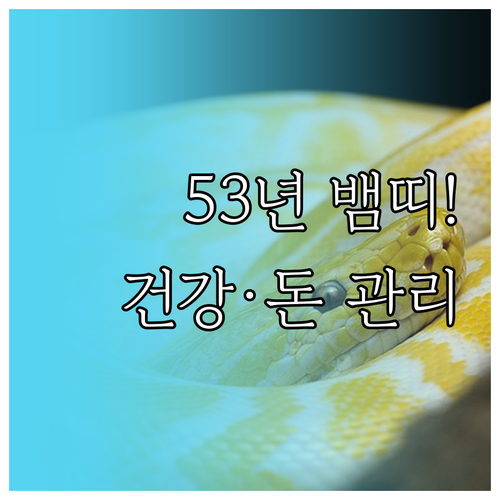 2026년 병오년 1953년생 뱀띠 운세 | 건강 주의사항과 효율적인 자산 운용