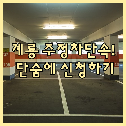 계룡시 주정차단속알림 서비스 온라인 신청과 앱 활용 방법