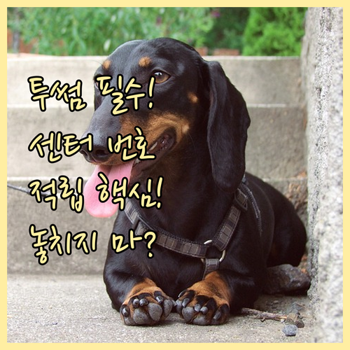 투썸플레이스 고객센터 번호 투썸하트 포인트 적립 원칙과 예외