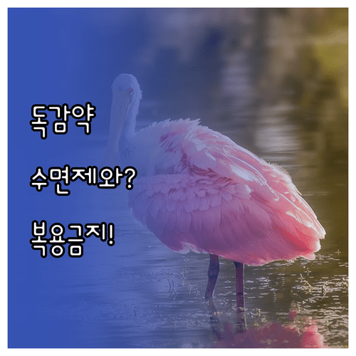 독감 환자 수면제 복용 주의사항 | 타미플루 항히스타민제 상호작용