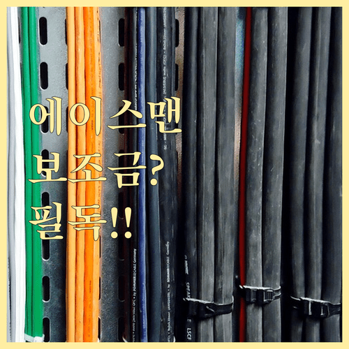 2026년 미니 에이스맨 SE 구매 전 확인해야 할 보조금 체크리스트