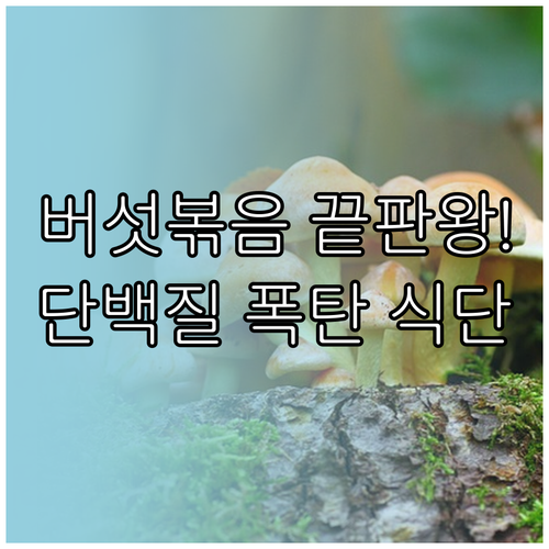 버섯 볶음 맛있게 만드는 법 | 단백질 보충 식단과 궁합 재료