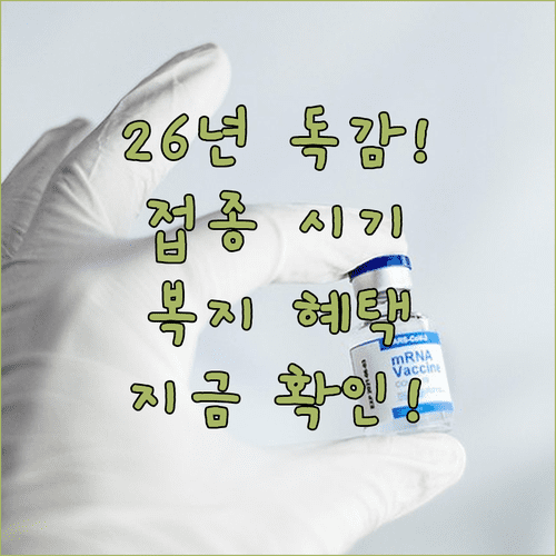 2026년 독감 주사 시기 및 복지멤버십 맞춤형 알림 혜택