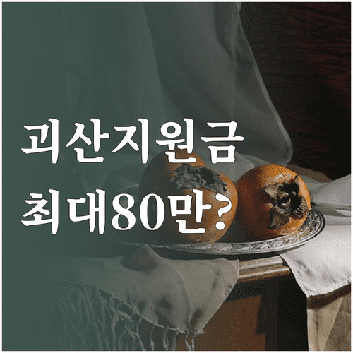 2026년 괴산군 민생지원금 지급 대상 및 신청 방법 총정리