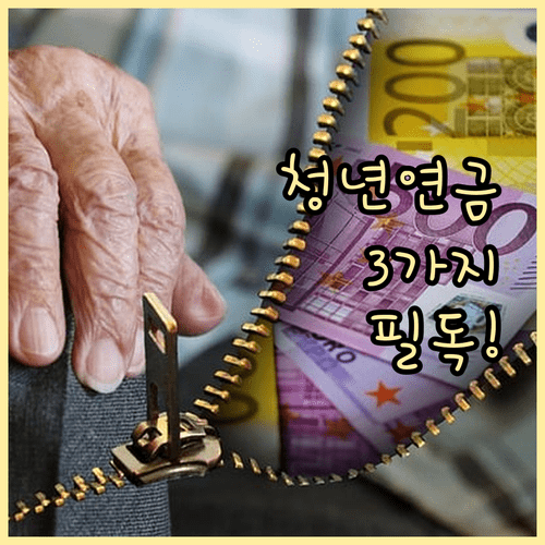 청년 가입자 국민연금 혜택 3가지 | 군 복무 실업 크레딧 보험료 지원