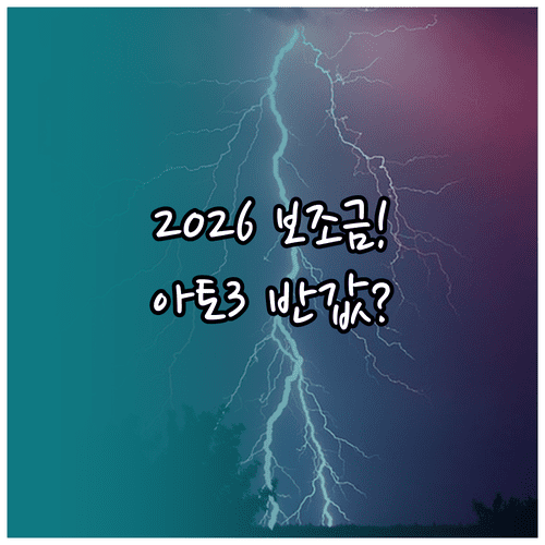 2026년 지자체별 전기차 보조금 현황 및 BYD 아토 3 예상가