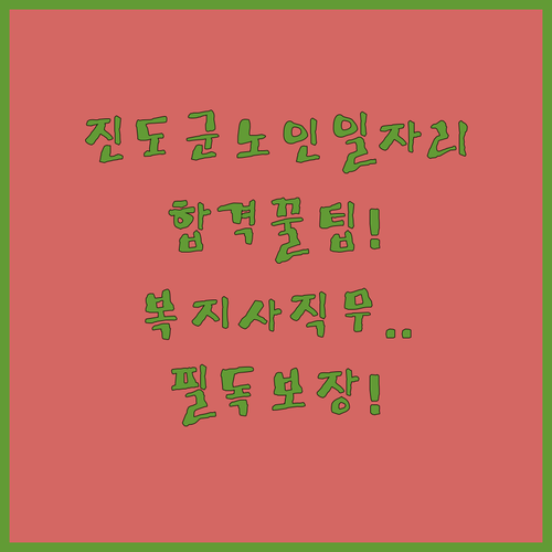 진도군 노인일자리 지원 방법과 시니어클럽 사회복지사 직무 내용