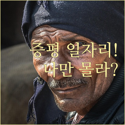 증평군 시니어클럽 노인일자리 신청 자격과 유형별 활동 내용