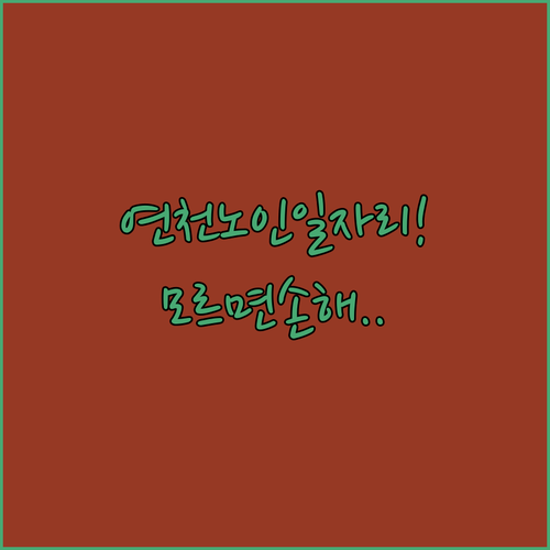 연천군 노인 일자리 총정리 참여 자격과 직종별 활동 내용