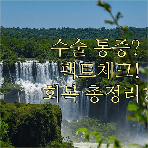 백내장 수술 중 통증 유무와 단계별 시력 회복 기간