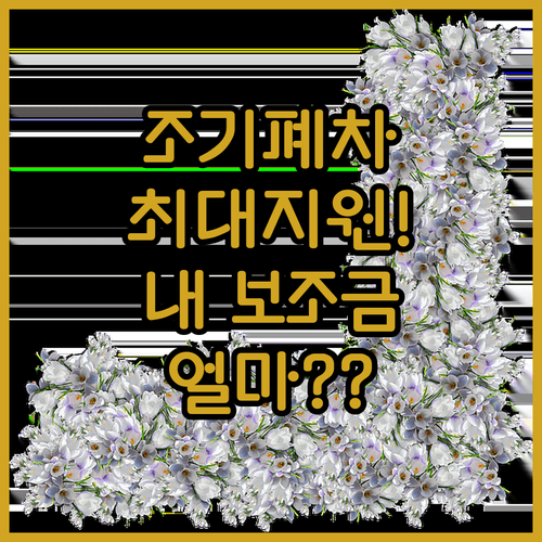 노후 경유차 조기폐차 보조금과 국고 연계 혜택 총정리