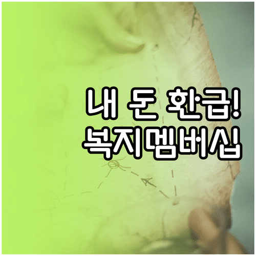 놓친 정부 지원금 찾는 법 | 복지멤버십 알림 설정 확인