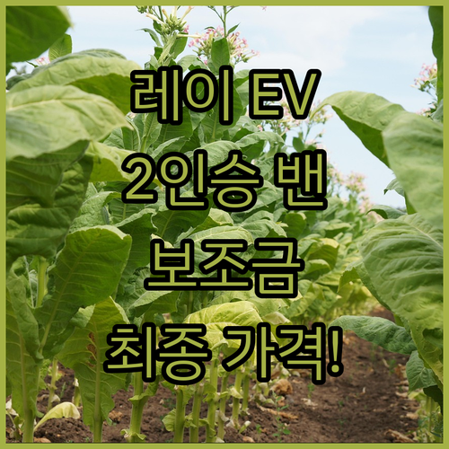 레이 EV 2인승 밴 실구매가 결정하는 지자체 보조금 확인 방법