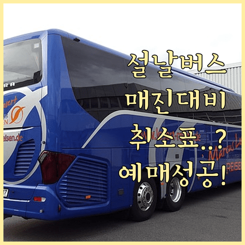 설날 고속버스 매진 대비 취소표 시간대 및 예매 팁