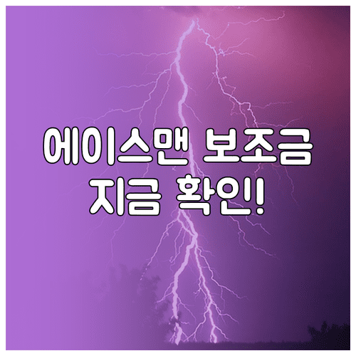 미니 에이스맨 E 전기차 보조금 현황 | 혜택 조건 및 산정 방식