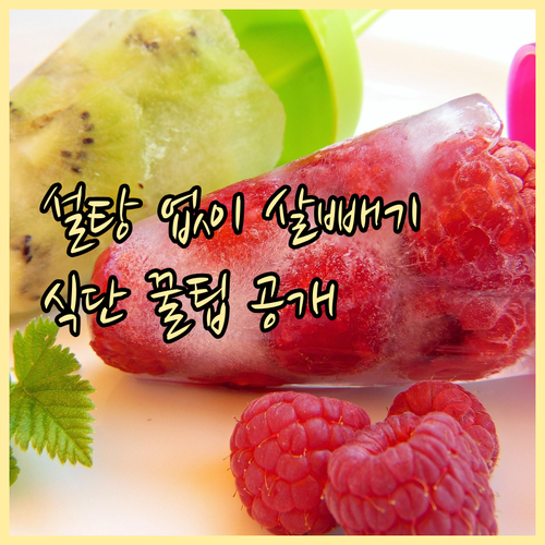 설탕 없는 식단 관리 요령과 추천 대체 식재료 정리