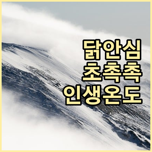 닭안심 에어프라이어 레시피 | 부드러운 식감을 위한 온도 조절