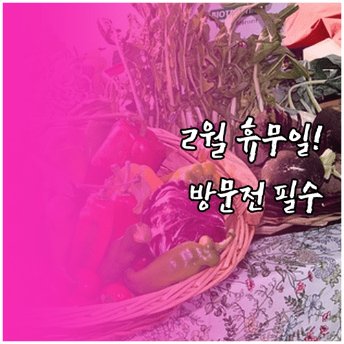 2026년 2월 일산 트레이더스 휴무일 영업시간 주차 요금 정리